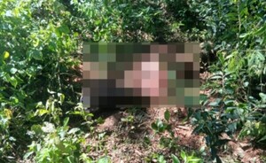 Denuncian caso de abigeato en Juan León Mallorquín 