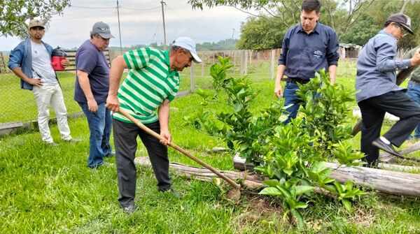 Técnicos y productores fortalecen sus conocimientos en fruticultura