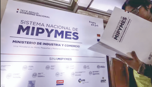MiPymes en Paraguay: ¿Por qué fracasan antes del primer año?