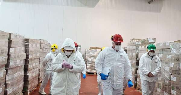 La Nación / Inician fiscalizaciones sanitarias para el envío de carne paraguaya a Panamá