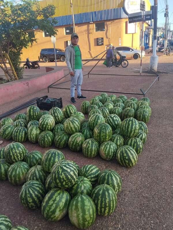 Concepción: primeras partidas de sandía en feria campesina  - Nacionales - ABC Color