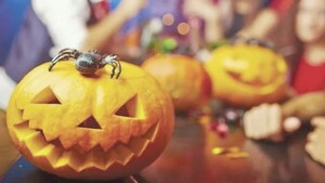 Intendente “empayenado” prohibió fiesta de Halloween