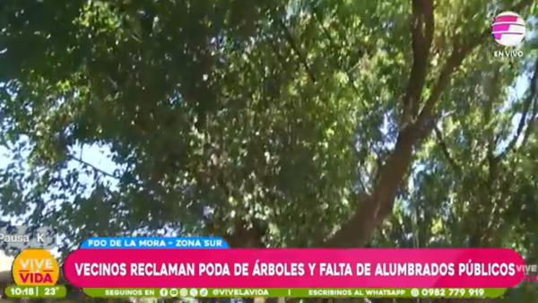 Vecinos denuncian falta de poda en árboles y más alumbrados públicos