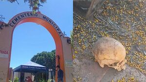 Encuentran un cráneo humano en un pasillo del Cementerio de Encarnación