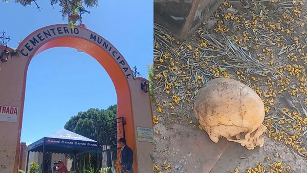 Encuentran un cráneo humano en un pasillo del Cementerio de Encarnación