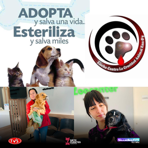 CAMPAÑA DE ESTERILIZACIÓN Y CONCIENCIACIÓN EN ENCARNACIÓN - «TVS DIGITAL»