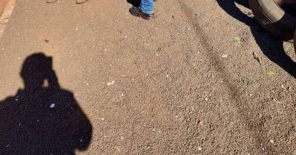 La Nación / Alto Paraná: aumentan los casos sospechosos de dengue