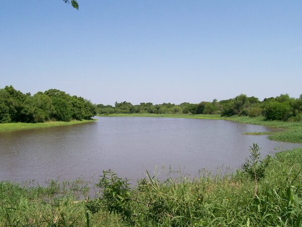 Terminan de delimitar frontera con Bolivia en zona de Río Negro