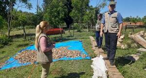 Productores de Primero de marzo reciben certificación oficial y comercializarán cebollas para “Hambre Cero”