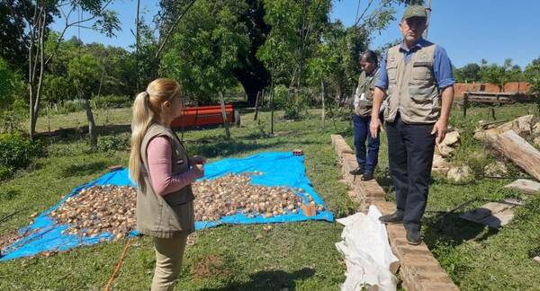 Productores de Primero de marzo reciben certificación oficial y comercializarán cebollas para “Hambre Cero”