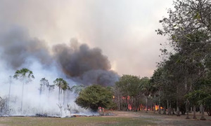Bahía Negra en emergencia: el fuego cruza la frontera y consume el Chaco paraguayo - OviedoPress