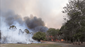 Incendio en Bahía Negra avanza y ya arrasa con más de 16.000 hectáreas - Noticiero Paraguay
