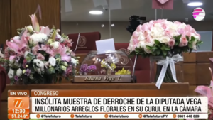 Insólita muestra de derroche de la diputada Vega