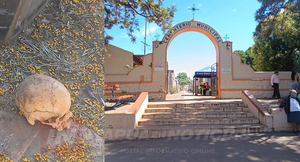 HALLAN UN CRÁNEO HUMANO EN EL SUELO DEL CEMENTERIO MUNICIPAL DE ENCARNACIÓN