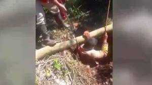 Video: Hombre es rescatado tras caer a pozo de 15 metros en Yatytay