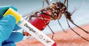 La Nación / Estrategia de combate: Paraguay prepara vacuna contra el dengue