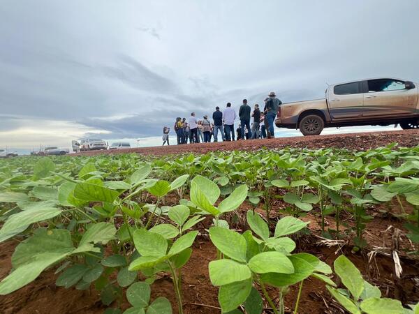 Reverte: el programa de Syngenta para regenerar suelos degradados