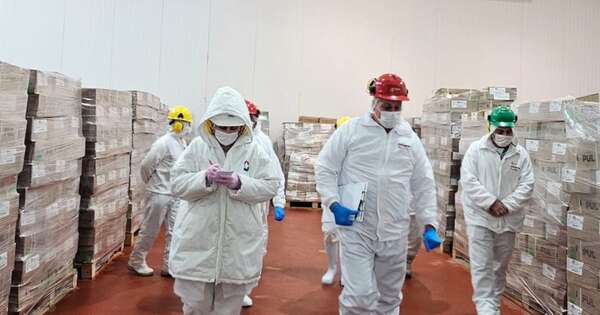 La Nación / Panamá inició auditoría para envío de carne local