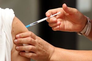 Salud comenzará en noviembre la vacunación contra el dengue