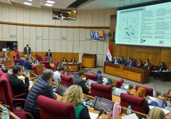 PGN 2026: bicameral prosigue mañana debate sobre las  modificaciones - Economía - ABC Color