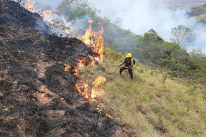 Incendio en frontera entre Paraguay y Bolivia arrasa con 16.000 hectáreas de vegetación