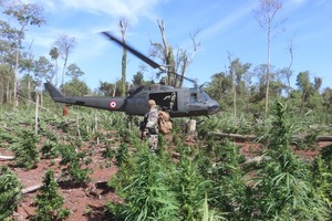 Paraguay y Brasil lanzan la última ofensiva antidroga del año - ADN Digital