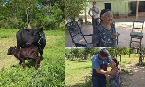 Anciana de 94 años que perdió hasta su última vaca por abigeato recupera la esperanza con gesto anónimo – Prensa 5