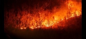 Fuerzas Armadas se despliegan para frenar incendio en el Alto Paraguay, zona de Bahía Negra