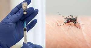 Diario HOY | Paraguay tendrá vacunas contra el dengue y aplicará desde noviembre