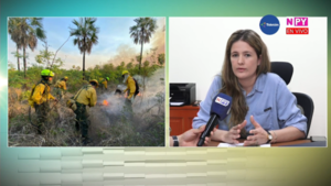 Terrible incendio forestal en el Chaco
