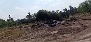 Denuncian desaparición de dos trabajadores tras conflicto de tierras en el Chaco  - Noticias del Chaco - ABC Color