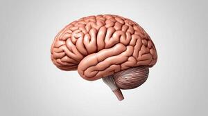 Protagonismo Neural: El líder como curador de su propia conciencia