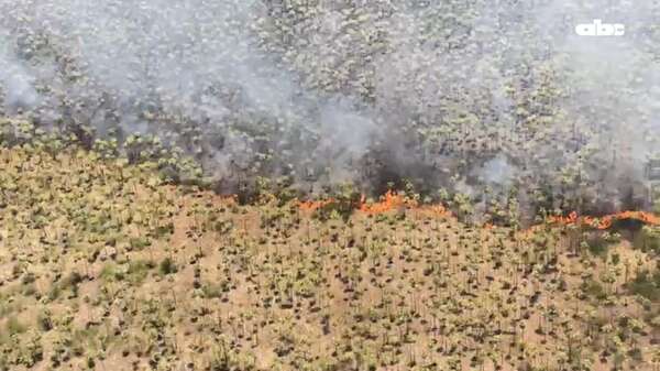 Video: incendio forestal en Bahía Negra registra 21 focos activos - Nacionales - ABC Color