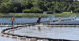 La Nación / Itaipú inicia proceso de energización de su Planta Solar Flotante instalada en el embalse
