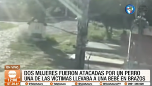 Dos mujeres fueron atacadas por un perro en Luque