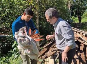 Indignación en Encarnación: Dispararon contra “Julieta”, una de los emblemáticos guacamayos que alegran la ciudad