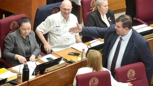 Piden a ministra de MOPC que intervenga Caminera por denuncias de irregularidades