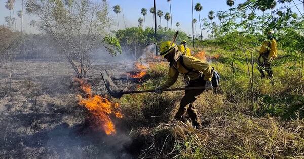 La Nación / Bahía Negra: incendio forestal afecta más de 22.000 hectáreas