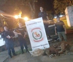 Recuperan cuatro animales tras denuncia de abigeato en Coronel Bogado