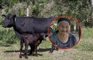 Solidaridad en Concepción: productora recibe donación tras perder sus vacas por abigeato