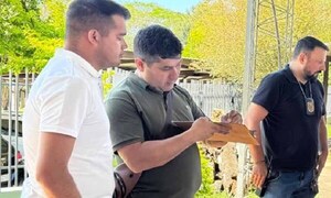 Le prometieron trabajo y cayó en una red de trata en el Brasil – Prensa 5