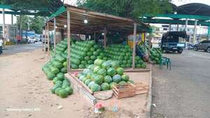 La temporada de sandía ya llegó: estos son sus precios en el Mercado de Abasto - Nacionales - ABC Color