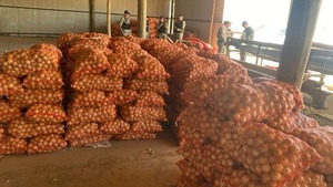 FECOPROD y UGP repudian intervención a productor del Chaco y exigen garantías para sector agrícola