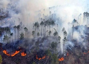 El fuego avanza en el Chaco: helicópteros y tropas trabajan para contener los focos - ADN Digital