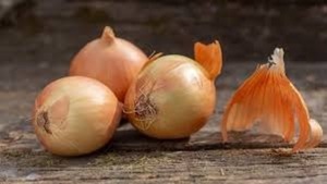Gremio agrícola cuestiona proceder de la DNIT tras incautación irregular de cebollas en el Chaco - Portal Digital Cáritas Universidad Católica