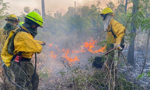 Se espera que lluvias previstas para el fin de semana traigan alivio a incendio forestal del Chaco - OviedoPress