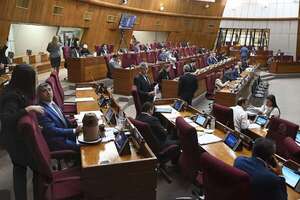 Cartista plantea atacar una de las pocas alternativas contra la “aplanadora” en Diputados - Política - ABC Color