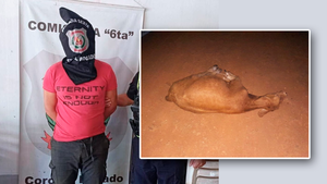 Tras enfrentamiento, detienen a supuesto abigeo y recuperan animales en Coronel Bogado