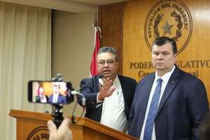 Santiago Peña reglamenta Ley garrote anti-ONG - Política - ABC Color