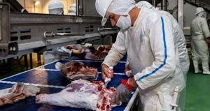 Taiwán es el principal destino de la carne porcina paraguaya con USD 35,5 millones